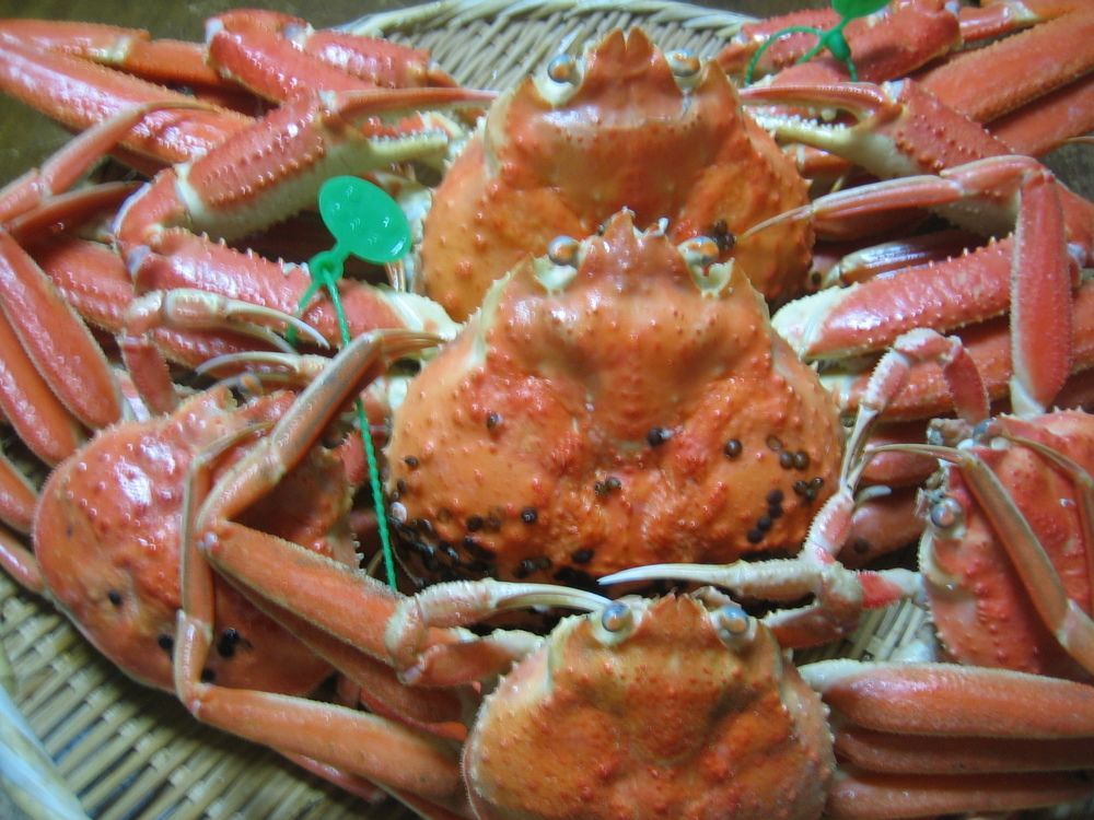 차로쿠 혼칸 호텔 미야즈 외부 사진
